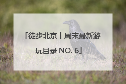 徒步北京丨周末最新游玩目录 NO. 6