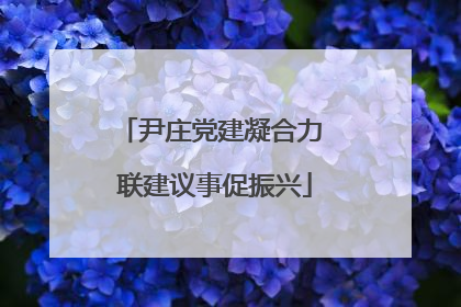 尹庄党建凝合力 联建议事促振兴