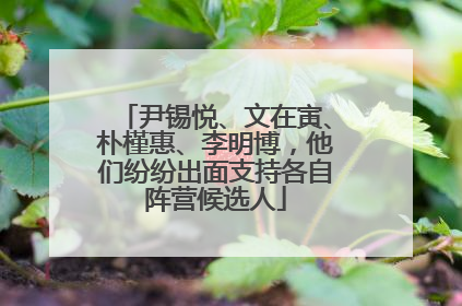 尹锡悦、文在寅、朴槿惠、李明博，他们纷纷出面支持各自阵营候选人