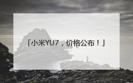 小米YU7，价格公布！