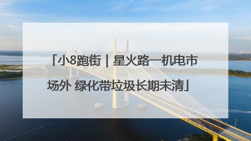 小8跑街｜星火路一机电市场外 绿化带垃圾长期未清