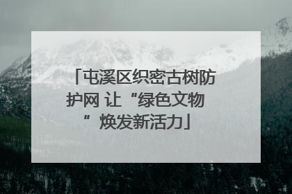 屯溪区织密古树防护网 让“绿色文物”焕发新活力