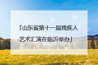 山东省第十一届残疾人艺术汇演在临沂举办