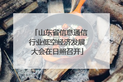 山东省信息通信行业低空经济发展大会在日照召开