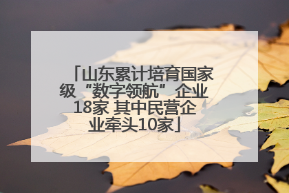 山东累计培育国家级“数字领航”企业18家 其中民营企业牵头10家