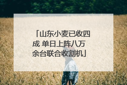 山东小麦已收四成 单日上阵八万余台联合收割机