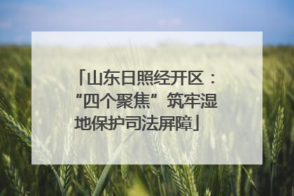 山东日照经开区：“四个聚焦”筑牢湿地保护司法屏障