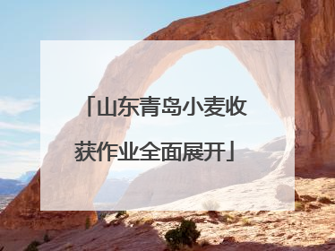 山东青岛小麦收获作业全面展开