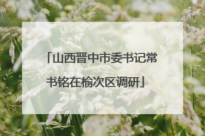 山西晋中市委书记常书铭在榆次区调研