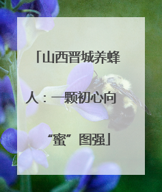 山西晋城养蜂人：一颗初心向“蜜”图强