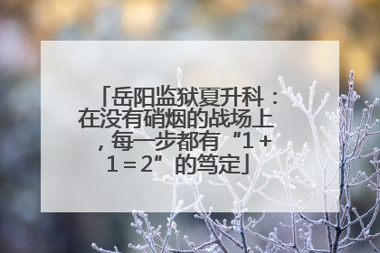 岳阳监狱夏升科：在没有硝烟的战场上，每一步都有“1＋1＝2”的笃定
