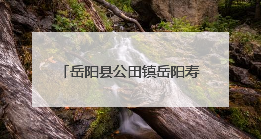 岳阳县公田镇岳阳寿星园景区2025年寿文化节暨寿星宴启幕