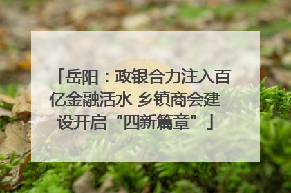 岳阳：政银合力注入百亿金融活水 乡镇商会建设开启“四新篇章”