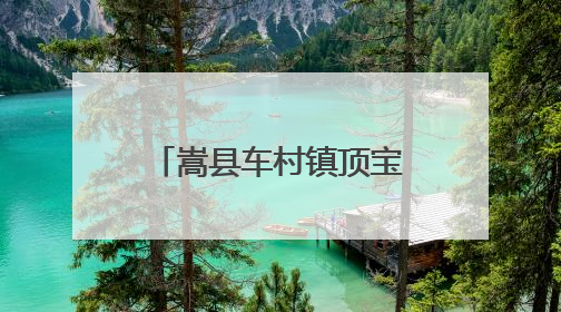 嵩县车村镇顶宝石村：密林之下有诗意有生机