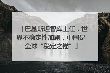 巴基斯坦智库主任：世界不确定性加剧，中国是全球“稳定之锚”
