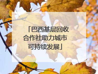 巴西基层回收合作社助力城市可持续发展