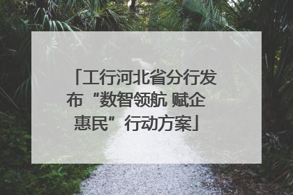 工行河北省分行发布“数智领航 赋企惠民”行动方案