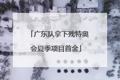 广东队拿下残特奥会夏季项目首金
