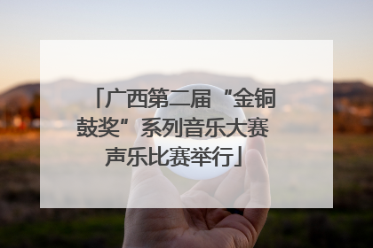 广西第二届“金铜鼓奖”系列音乐大赛声乐比赛举行