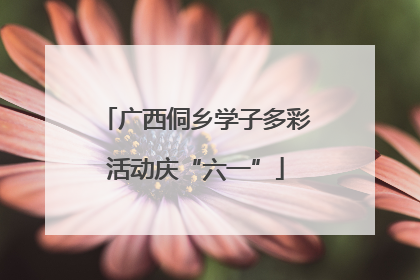 广西侗乡学子多彩活动庆“六一”