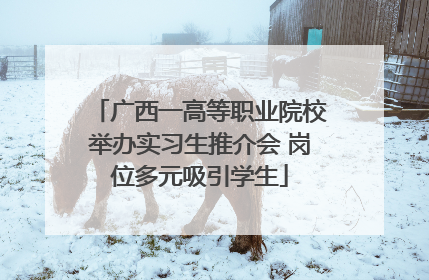 广西一高等职业院校举办实习生推介会 岗位多元吸引学生