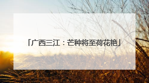 广西三江：芒种将至荷花艳