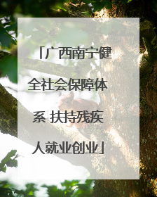 广西南宁健全社会保障体系 扶持残疾人就业创业