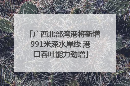 广西北部湾港将新增991米深水岸线 港口吞吐能力劲增