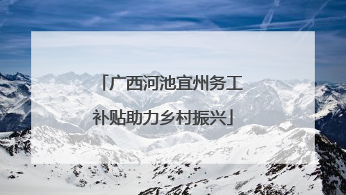广西河池宜州务工补贴助力乡村振兴
