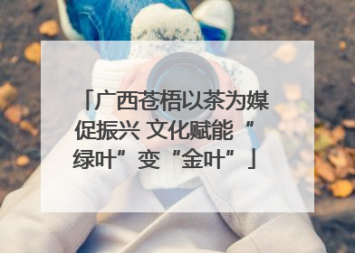 广西苍梧以茶为媒促振兴 文化赋能“绿叶”变“金叶”