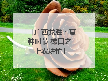 广西龙胜：夏种时节 梯田之上农耕忙