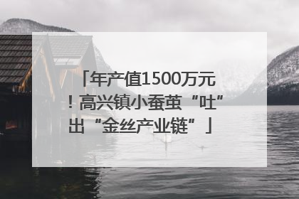 年产值1500万元！高兴镇小蚕茧“吐”出“金丝产业链”