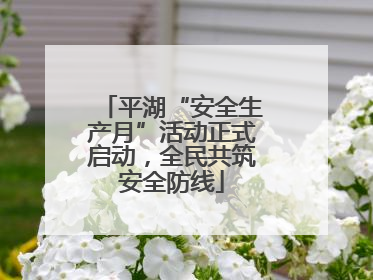 平湖“安全生产月”活动正式启动，全民共筑安全防线
