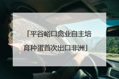 平谷峪口禽业自主培育种蛋首次出口非洲