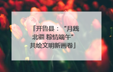 开鲁县：“月践北疆 粽情端午”共绘文明新画卷