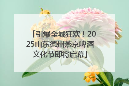 引爆全城狂欢！2025山东德州燕京啤酒文化节即将启幕