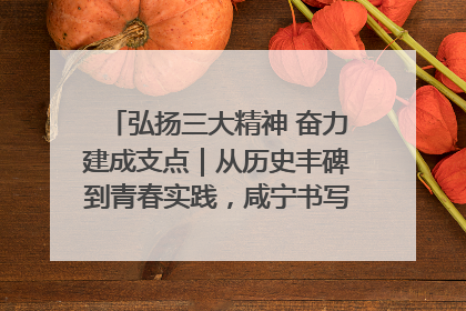弘扬三大精神 奋力建成支点｜从历史丰碑到青春实践，咸宁书写精神传承新篇章