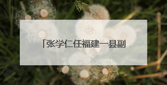 张学仁任福建一县副县长、公安局局长