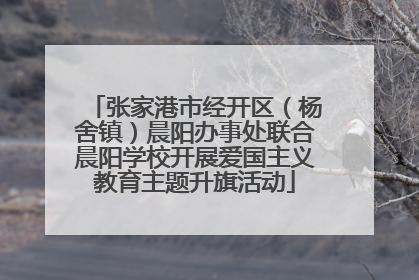 张家港市经开区（杨舍镇）晨阳办事处联合晨阳学校开展爱国主义教育主题升旗活动