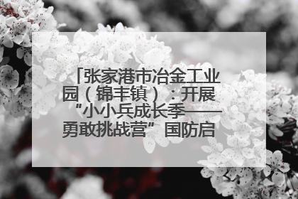 张家港市冶金工业园（锦丰镇）：开展“小小兵成长季——勇敢挑战营”国防启蒙教育活动