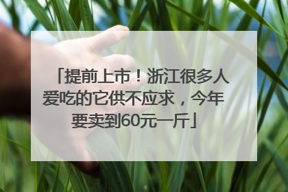 提前上市！浙江很多人爱吃的它供不应求，今年要卖到60元一斤