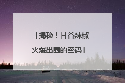 揭秘！甘谷辣椒火爆出圈的密码