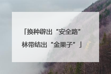 换种辟出“安全路” 林带结出“金果子”