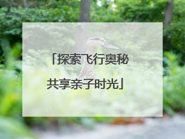 探索飞行奥秘 共享亲子时光