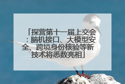 探营第十一届上交会：脑机接口、大模型安全、跨境身份核验等新技术将悉数亮相