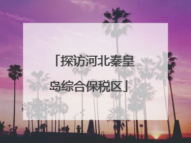 探访河北秦皇岛综合保税区