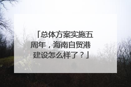 总体方案实施五周年，海南自贸港建设怎么样了？