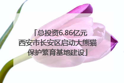 总投资6.86亿元 西安市长安区启动大熊猫保护繁育基地建设