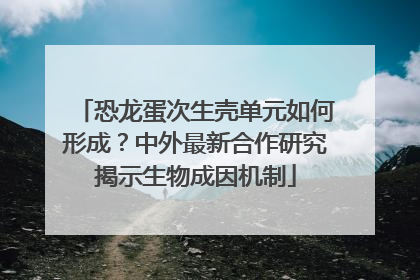 恐龙蛋次生壳单元如何形成？中外最新合作研究揭示生物成因机制