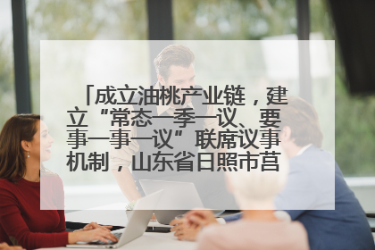 成立油桃产业链，建立“常态一季一议、要事一事一议”联席议事机制，山东省日照市莒县果庄镇——13个党小组“全周期”育果